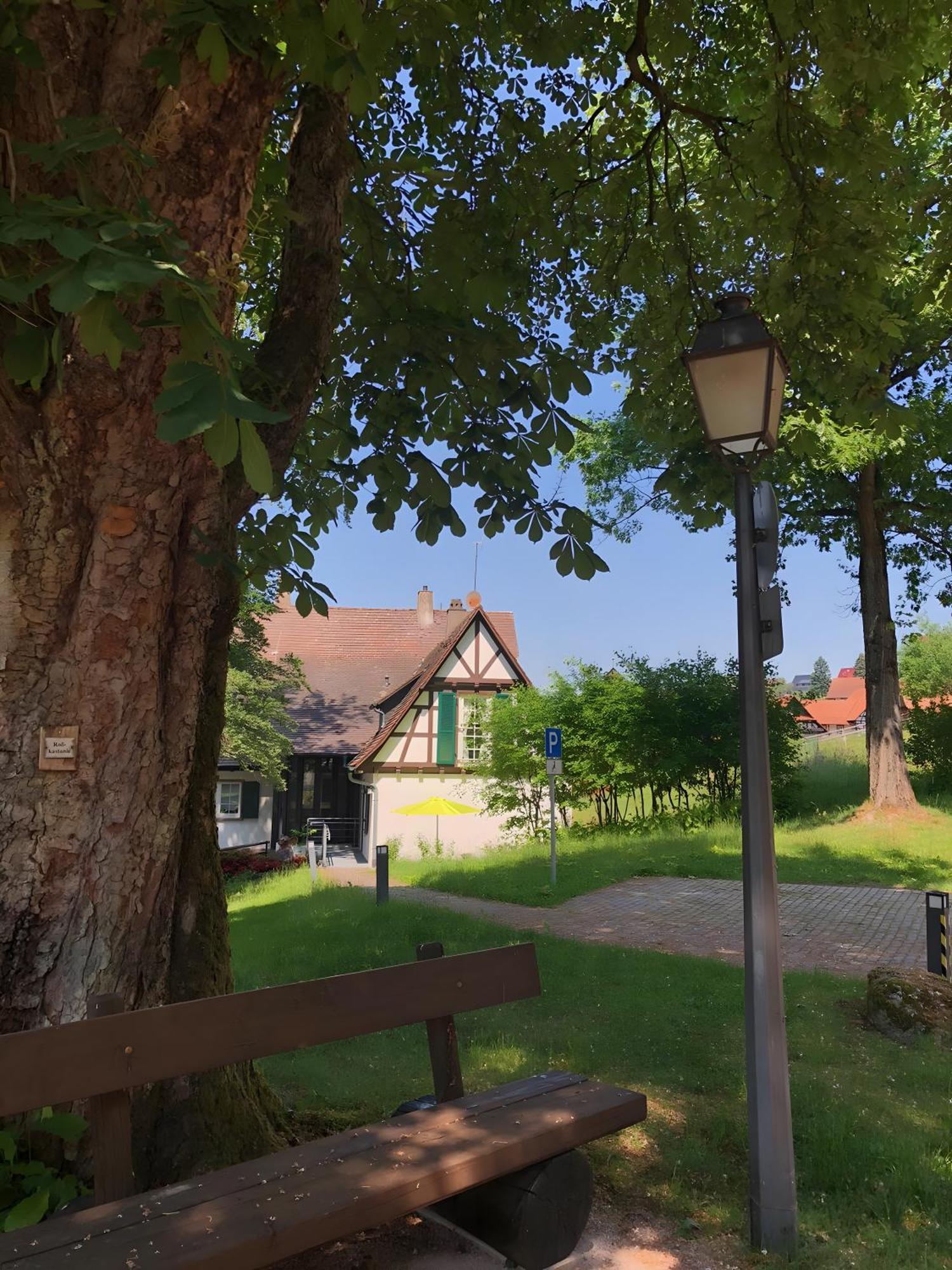 Ferienwohnung Am Keschtebaum, 70Qm 萨巴赫瓦登 外观 照片