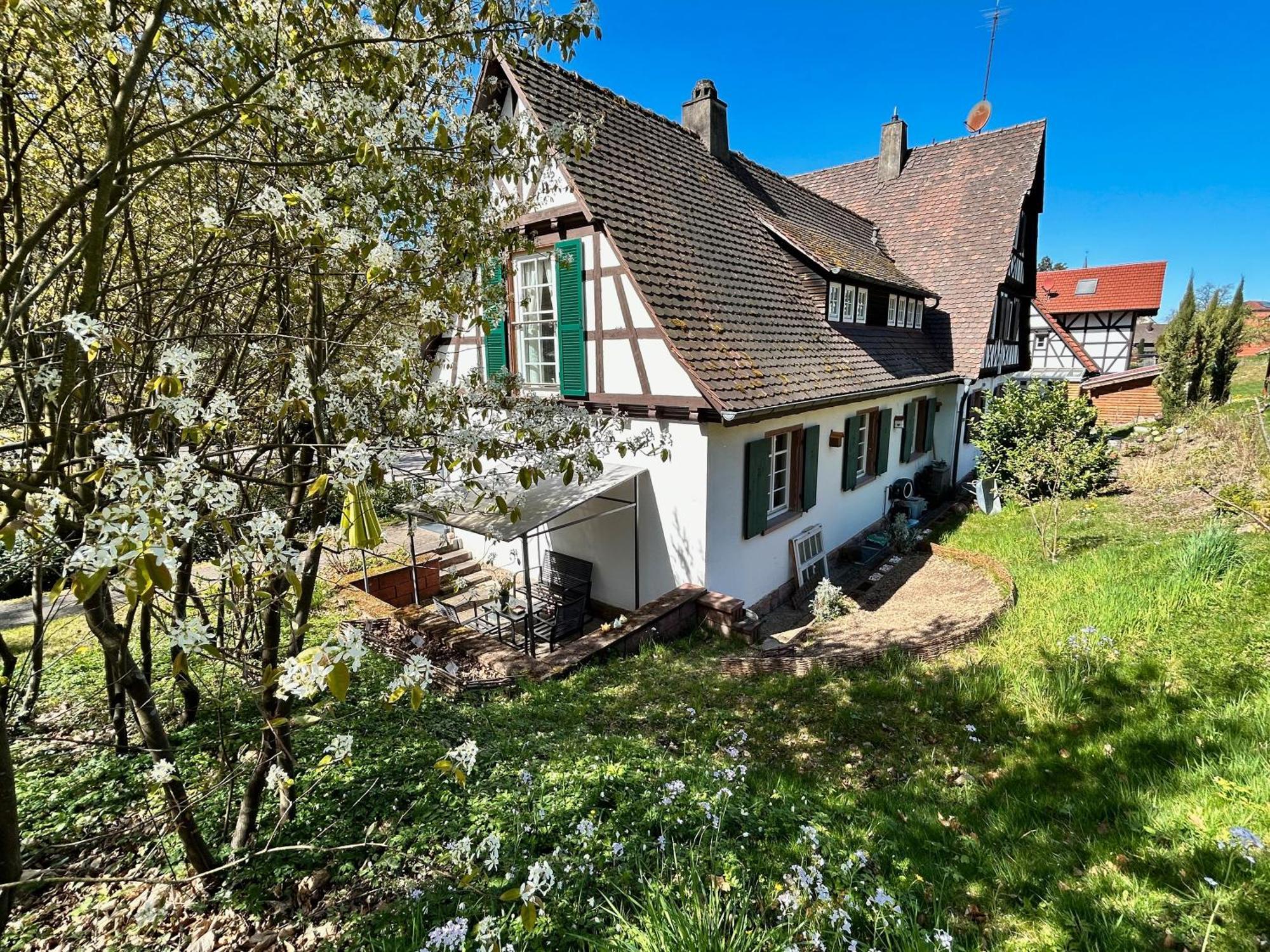 Ferienwohnung Am Keschtebaum, 70Qm 萨巴赫瓦登 外观 照片
